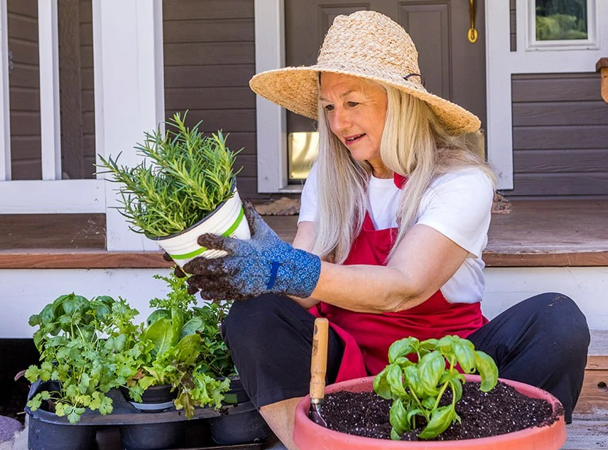 Beneficios de tener un jardín en casa